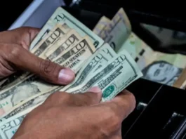 Dólar y euro BCV: así se cotizarán las monedas oficiales hoy 05 de febrero Dólar y euro BCV: así se cotizarán las monedas oficiales hoy 05 de febrero