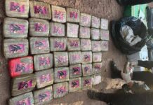 Táchira| Incautan más de 500 kg de droga