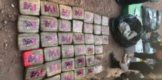 Táchira| Incautan más de 500 kg de droga