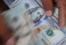 Grisanti: Esta semana se hará tercera subasta de divisas por 300 millones de dólares Grisanti: Esta semana se hará tercera subasta de divisas por 300 millones de dólares