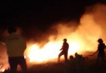 Municipio Falcón| Incendio de vegetación afectó 22 hectáreas en la Bocaina