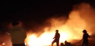 Municipio Falcón| Incendio de vegetación afectó 22 hectáreas en la Bocaina