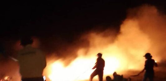 Municipio Falcón| Incendio de vegetación afectó 22 hectáreas en la Bocaina