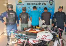 Municipio Falcón| Desmantelada banda «Los Pulpos» en Pueblo Nuevo