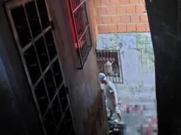 Caracas | Ministerio Público investiga hallazgo de matadero de gatos Caracas | Ministerio Público investiga hallazgo de matadero de gatos