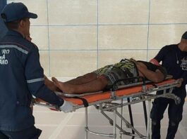 Punto Fijo| Motorizado chocó con un árbol y quedó herido de gravedad