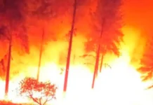 Monagas | Dos bomberos murieron al combatir incendio forestal Monagas | Dos bomberos murieron al combatir incendio forestal