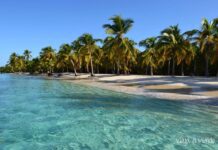 Conoce las normas de navegación en el Parque Nacional Morrocoy