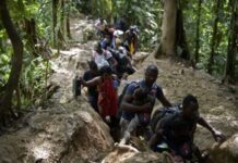 OIM: Al menos 409 migrantes fallecieron en las rutas americanas en 2025 OIM: Al menos 409 migrantes fallecieron en las rutas americanas en 2025