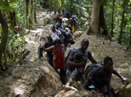 OIM: Al menos 409 migrantes fallecieron en las rutas americanas en 2025 OIM: Al menos 409 migrantes fallecieron en las rutas americanas en 2025