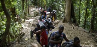 OIM: Al menos 409 migrantes fallecieron en las rutas americanas en 2025 OIM: Al menos 409 migrantes fallecieron en las rutas americanas en 2025