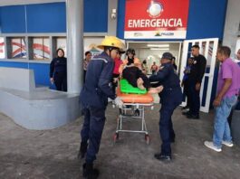 Coro| Muere octogenario arrollado