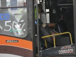 Perú | Mataron a un chofer de minibús y un mototaxista Perú | Mataron a un chofer de minibús y un mototaxista