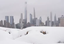 Tormenta histórica: Hallan hombre muerto bajo la nieve en Nueva York Tormenta histórica: Hallan hombre muerto bajo la nieve en Nueva York