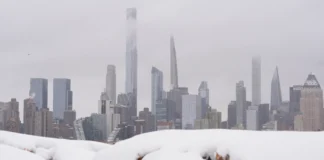 Tormenta histórica: Hallan hombre muerto bajo la nieve en Nueva York Tormenta histórica: Hallan hombre muerto bajo la nieve en Nueva York