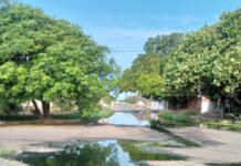 Bote de aguas negras, un «calvario» en la Comunidad Cardón