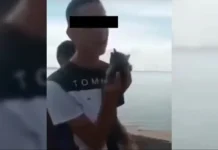 Zulia: se entregó el joven que lanzó a un gato al Lago de Maracaibo Zulia: se entregó el joven que lanzó a un gato al Lago de Maracaibo