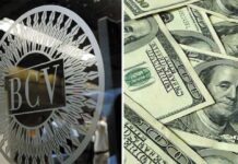 Dólar y euro BCV para hoy martes 03 de febrero Dólar y euro BCV para hoy martes 03 de febrero