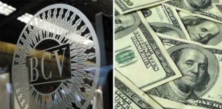 Dólar y euro BCV para hoy martes 03 de febrero Dólar y euro BCV para hoy martes 03 de febrero