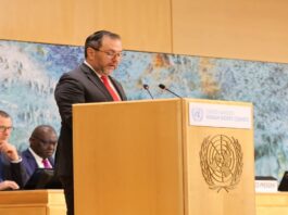 Canciller Gil: Presidenta (E) Rodríguez pide el cese de sanciones y liberación del presidente Maduro Canciller Gil: Presidenta (E) Rodríguez pide el cese de sanciones y liberación de Maduro