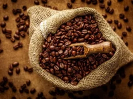 Comienza la exportación de 30 contenedores con café venezolano hacia EEUU Comienza la exportación de 30 contenedores con café venezolano hacia EEUU
