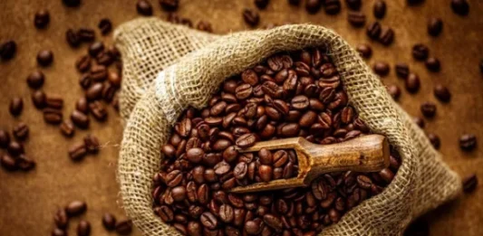 Comienza la exportación de 30 contenedores con café venezolano hacia EEUU Comienza la exportación de 30 contenedores con café venezolano hacia EEUU