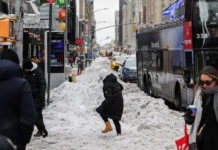 Ola de frío en Nueva York ha dejado 16 muertos Revelan lamentable cifra de muertes por ola de frío en Nueva York: autoridades toman medidas drásticas