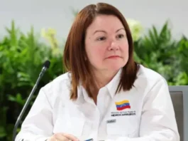 ¿Sabes quién es la nueva ministra de Hidrocarburos?