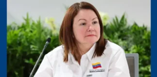 ¿Quién es la nueva ministra de Hidrocarburos?