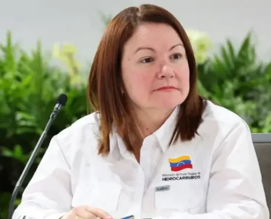 ¿Quién es la nueva ministra de Hidrocarburos?