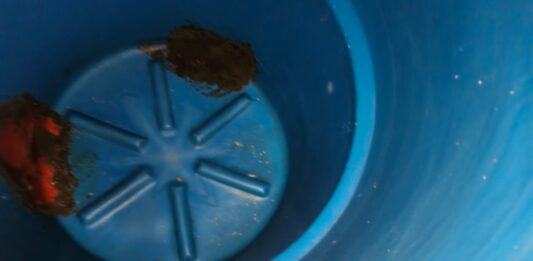 Coro| En San Agustín llevan 15 días sin agua y no hay respuesta oficial