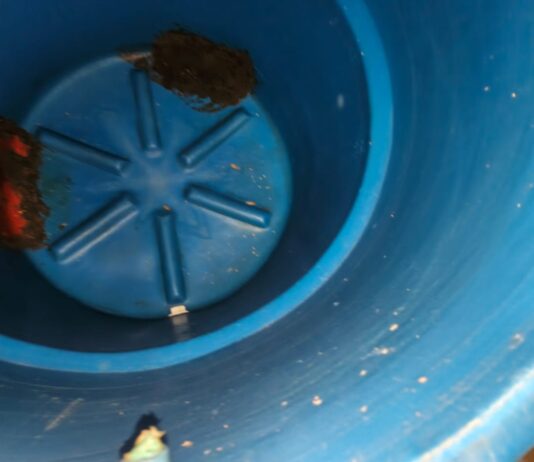 Coro| En San Agustín llevan 15 días sin agua y no hay respuesta oficial