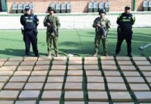 Incautan más de 100 antenas Starlink en la frontera con Colombia Incautan más de 100 antenas Starlink en la frontera con Colombia