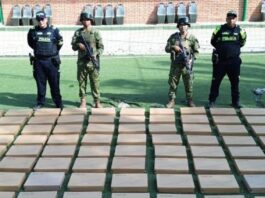 Incautan más de 100 antenas Starlink en la frontera con Colombia Incautan más de 100 antenas Starlink en la frontera con Colombia