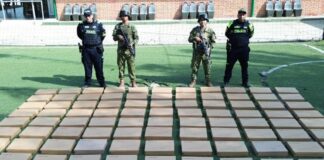 Incautan más de 100 antenas Starlink en la frontera con Colombia Incautan más de 100 antenas Starlink en la frontera con Colombia