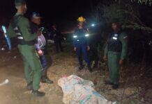 Tocópero| Reportan fallecimiento de un hombre por arrollamiento