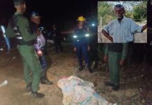 Tocópero| Hombre fue arrollado y dejado abandonado en la vía pública