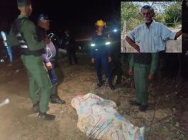 Tocópero| Hombre fue arrollado y dejado abandonado en la vía pública