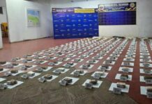 Bolívar | Incautan más de 62 kilos de marihuana en la Isla El Aro Bolívar | Incautan más de 62 kilos de marihuana en la Isla El Aro