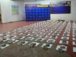 Bolívar | Incautan más de 62 kilos de marihuana en la Isla El Aro Bolívar | Incautan más de 62 kilos de marihuana en la Isla El Aro