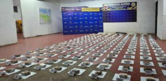 Bolívar | Incautan más de 62 kilos de marihuana en la Isla El Aro Bolívar | Incautan más de 62 kilos de marihuana en la Isla El Aro