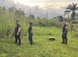 Brasil | Hallan restos de adolescente venezolana desaparecida Brasil | Hallan restos de adolescente venezolana desaparecida