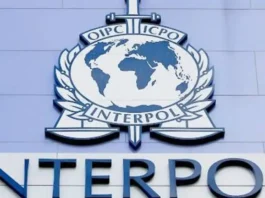 Cae en Petare un hombre con alerta roja de Interpol Cae en Petare un hombre con alerta roja de Interpol
