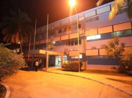 Municipio San Francisco| Lesionado tras caer de un caballo