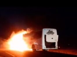 Valencia| Motorizado fallece calcinado tras colisionar contra un autobús