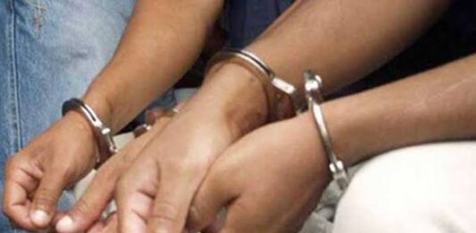 Carabobo| Detenidos dos delincuentes por hurto