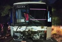 Carabobo| Expreso chocó con cuatro vacas