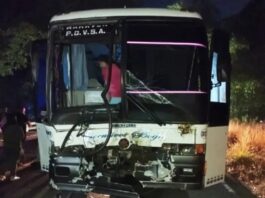 Carabobo| Expreso chocó con cuatro vacas