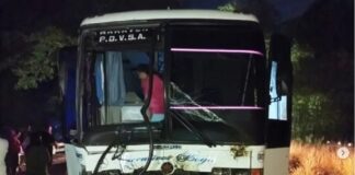 Carabobo| Expreso chocó con cuatro vacas