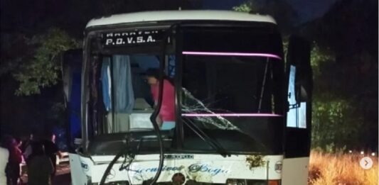 Carabobo| Expreso chocó con cuatro vacas